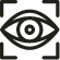 icon eye